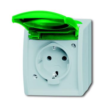 Busch-Jaeger 20 EWN-13-53 SCHUKO® socket, with green hinged cover grey/blue-green
