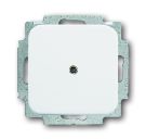Busch-Jaeger 2538-214 blind central plate, with support ring alpine white
