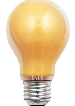 Scharnberger & Hasenbein 40242 light bulbs YELLOW 230V 15W E27