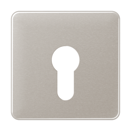Jung CD525PT cover for key switch without dismantling protection, anodised aluminium, CD series, platinum