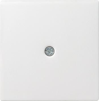 Gira 027403 cover cord derivation+VDO System 55 pure white