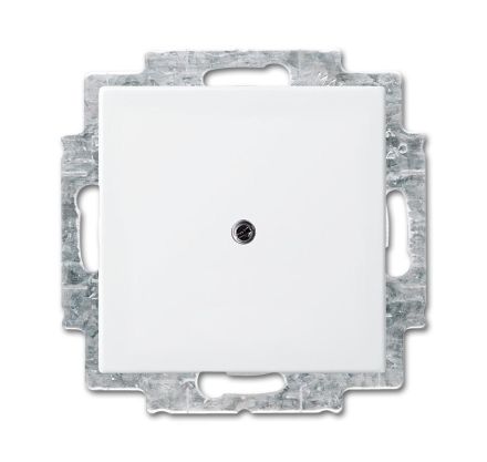 Busch-Jaeger 2538-914 blind central plate, with support ring alpine white