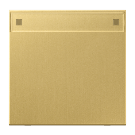 Jung ME2990NAC rocker 1-way, with label field, brass, LS series, brass classic