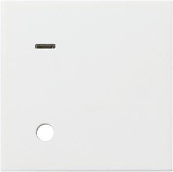 Gira 023327 cover Ackermann 70045 A3 System 55 pure white matt