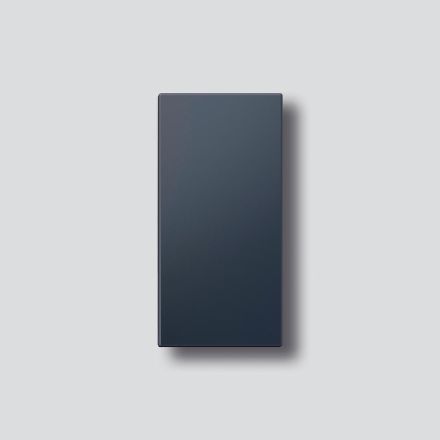 Siedle 210007067-00 for TM612-1/BTM 650-01 AG anthracite grey bell button