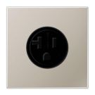 Jung ES2521-20 socket, US standard NEMA, 20 A 125 V ~, screw terminals, without claws, LS series, stainless steel