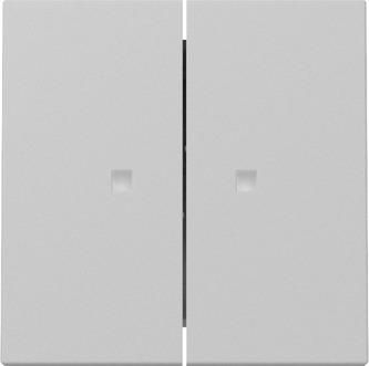 Gira 3631015 2f control f.Sys.55 gr with rocker