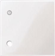 MERTEN 450719 Central plate polar white glossy System M