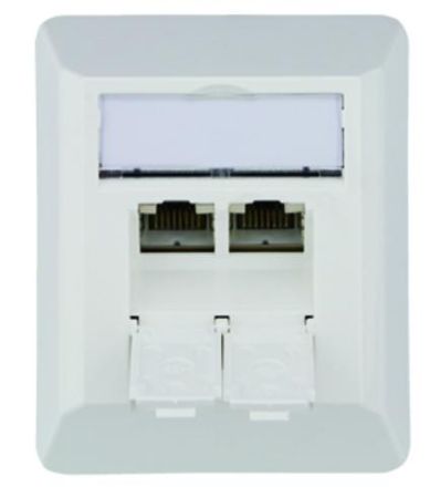 Telegärtner J00023A0204 AMJ45 8/8 K AP 80x65mm alpine white data socket surface-mounted Cat6A ISO