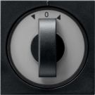 Gira 0666005 timer+blind System55sw cover