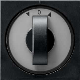 Gira 0666005 timer+blind System55sw cover