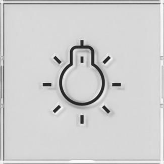 Gira 321600 BSF+Symb.Light large tactile Sys.55 nt rocker