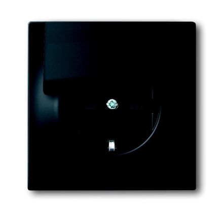 Busch-Jaeger 20 EUK-775 SCHUKO® socket insert, with hinged cover, matt black