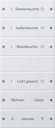 GIRA 220627 TS3 rocker set for label service System 55 | 6-way (3+3) | pure white satin finish