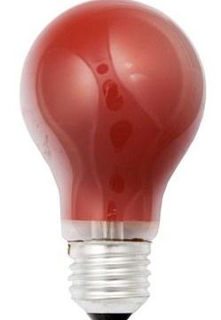 Scharnberger & Hasenbein 40245 B 60x105mm E27 230V 25W red light bulb