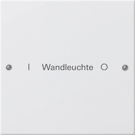 GIRA 220127 TS3 rocker set for label service System 55 | 1-way | pure white satin finish