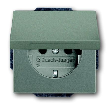 Busch-Jaeger 20 EUK-803 SCHUKO® socket insert, with hinged cover, metallic grey