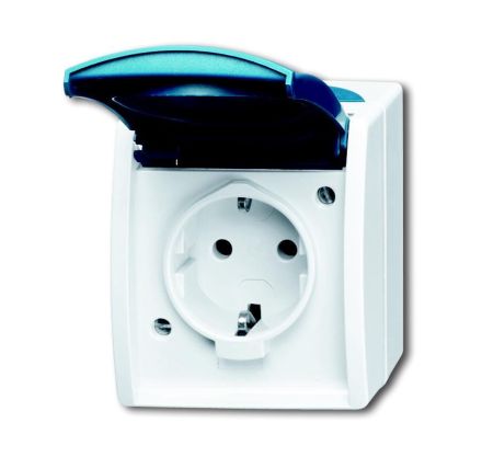 Busch-Jaeger 20 EWN-53 SCHUKO® socket, with hinged cover and labelling field grey/blue-green