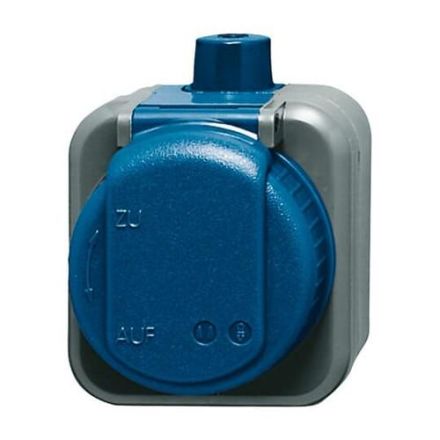 Busch-Jaeger 2300 EWDI SCHUKO® socket, 2-pole