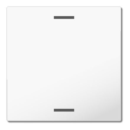 MDT BE-TAL55W102.01 rocker for touch sensor Light 55 | 1-way, neutral | pure white glossy