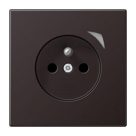 Jung BTAL1521FSED-L HOME Energy French socket
