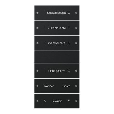 GIRA 2206005 TS3 rocker set for label service System 55 | 6-way (3+3) | matt black