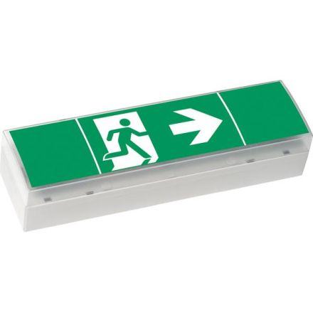 CEAG emergency light SV Euro4 LED emergency light