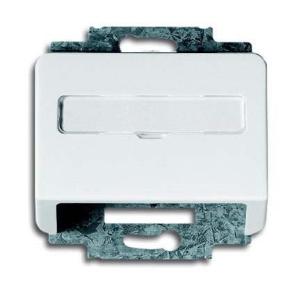 Busch-Jaeger 1758-24G central plate, with support ring studio white high gloss