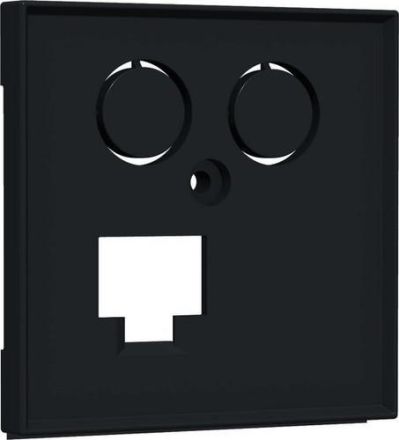 HomeWay TV+LAN 55x55mm anthracite central plate