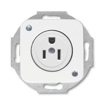 Busch-Jaeger 3015 EUC-214 Busch-Nema socket insert with central plate, 2-pole (2 P + E), 15 A alpine white