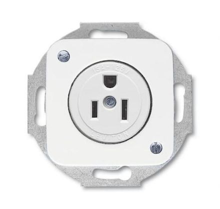 Busch-Jaeger 3015 EUC-214 Busch-Nema socket insert with central plate, 2-pole (2 P + E), 15 A alpine white
