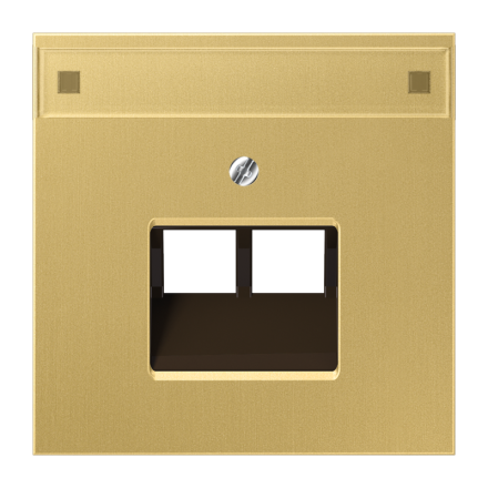 Jung ME2969-2NAUAC cover for IAE/UAE connection boxes 2 x 8-pin, with label field, brass, LS series, brass classic