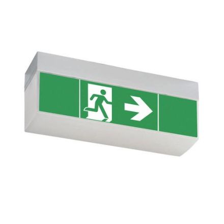 CEAG emergency light SV Euro4L LED emergency light