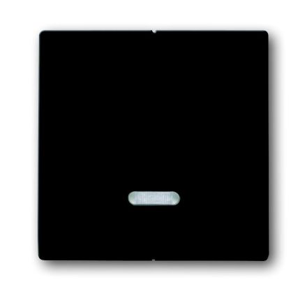 Busch-Jaeger 6545-81 control element, with glow lamp anthracite
