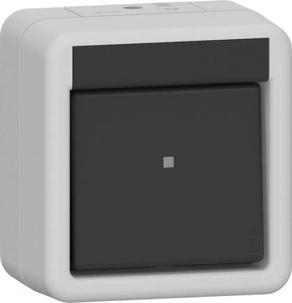 Gira 310730 cross WG AP gr rocker switch