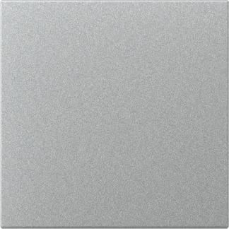 Gira 349626 straight Sys.55 F aluminum rocker