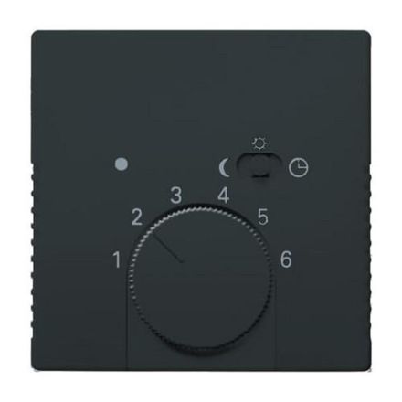 Busch-Jaeger 1795-81 central plate, for room temperature controller anthracite