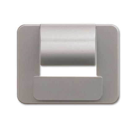 Busch-Jaeger 6477-20 Central plate for Busch-powerDock platinum