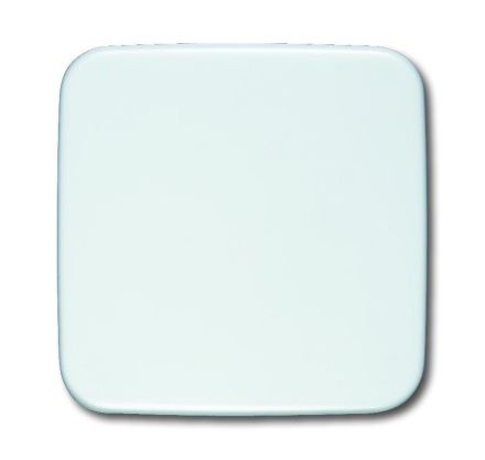 Busch-Jaeger 1576 C-214 blind central plate alpine white