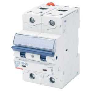 Gewiss GW93378 Heavy-duty D-100A 10kA 2-pole 3TE circuit breaker