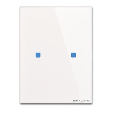 BUSCH-JAEGER TB/U2.7.11-CG KNX push button sensor Standard tacteo | 2-way, horizontal | white glass | 115x86 mm