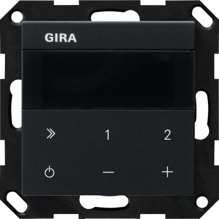Gira 2320005 IP System 55 sw with flush-mounted radio