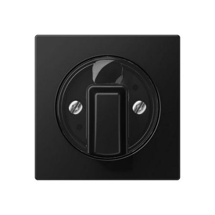 Jung A1541BFSWM cover for rotary switch, thermoplastic painted, series A, graphite black matt