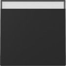 Gira 3299005 BSF Sys.55 sw with rocker