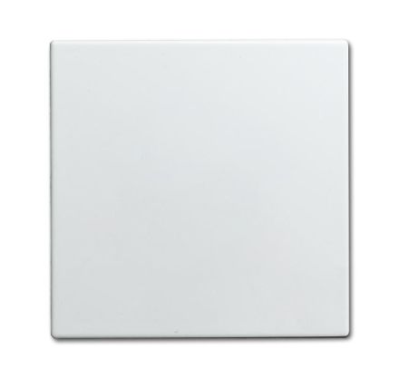 Busch-Jaeger 1576 C-914 blind central plate alpine white