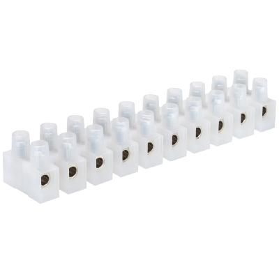 Wieland 21.310.1253.0 6E 12-pin European terminal block