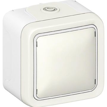 Legrand 069751 rocker switch Plexo IP55 69751 1-pole FR AP white, (grey)