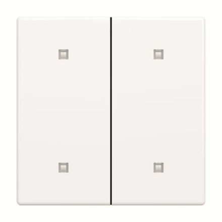 Busch-Jaeger 2CKA001751A3269 2570-20-84 2-f.Elec.button rocker
