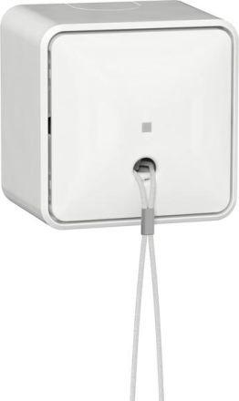 Gira 314613 AusWe AP rws pull switch