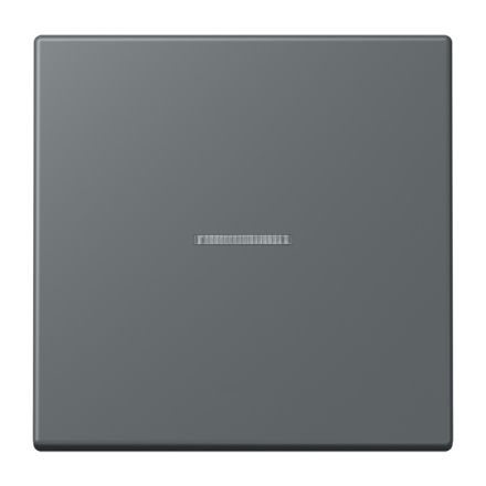 Jung BTLC17101202 JUNG HOME button 1-way, LS series, gris foncé 31 ( LC32010 )